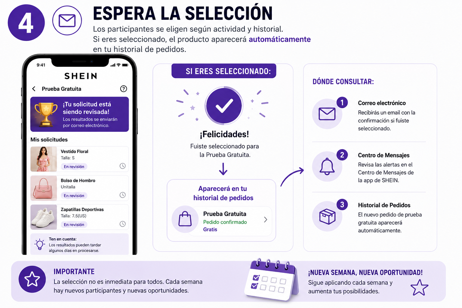 Ejemplo de una solicitud seleccionada
